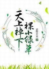 ���ϵ��¿�С�̲�